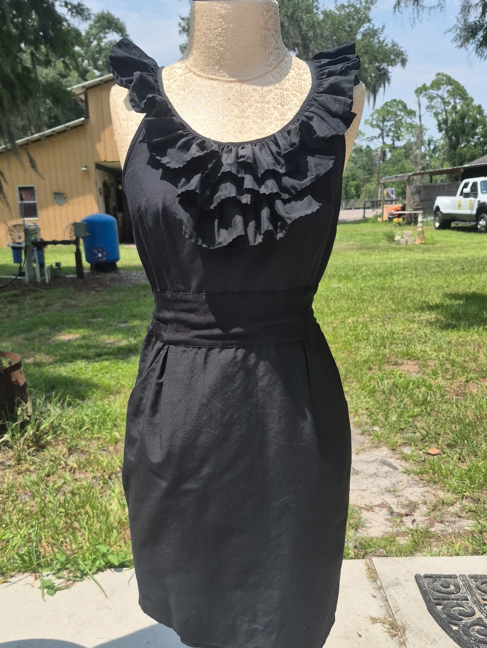 Banana Republic Black Ruffel Sleeveless Dress Zip Up Back Neckline Closure 6